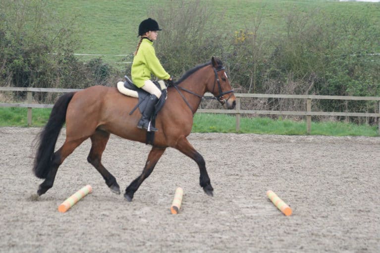 Trotting poles