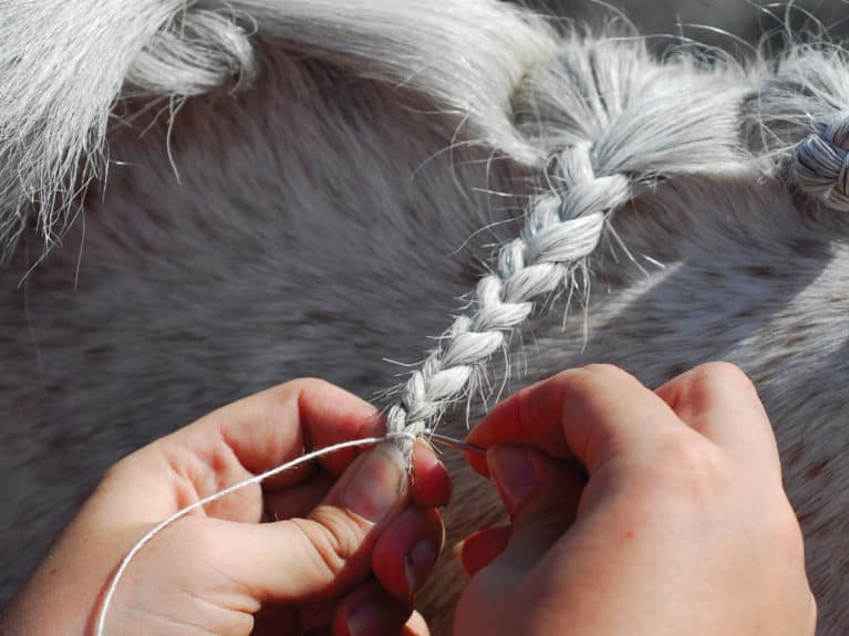 Plaiting pony mane with needle and thread