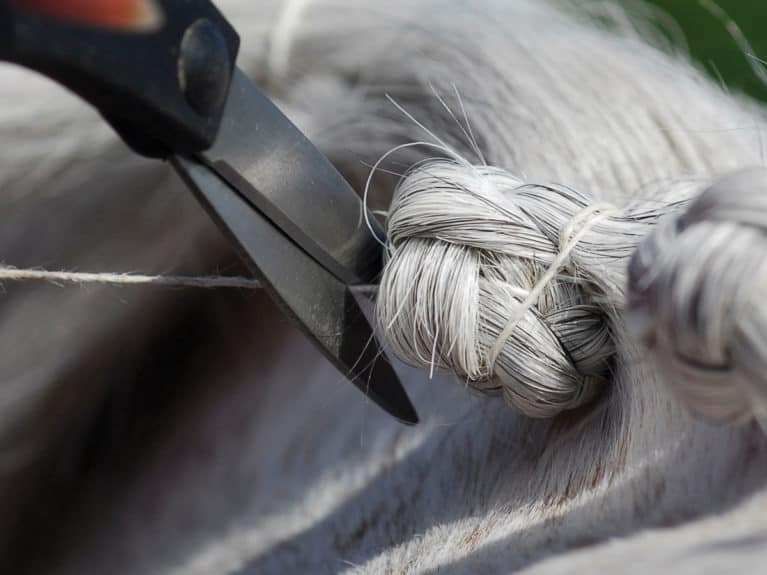 plaiting pony mane, finishing off the plait