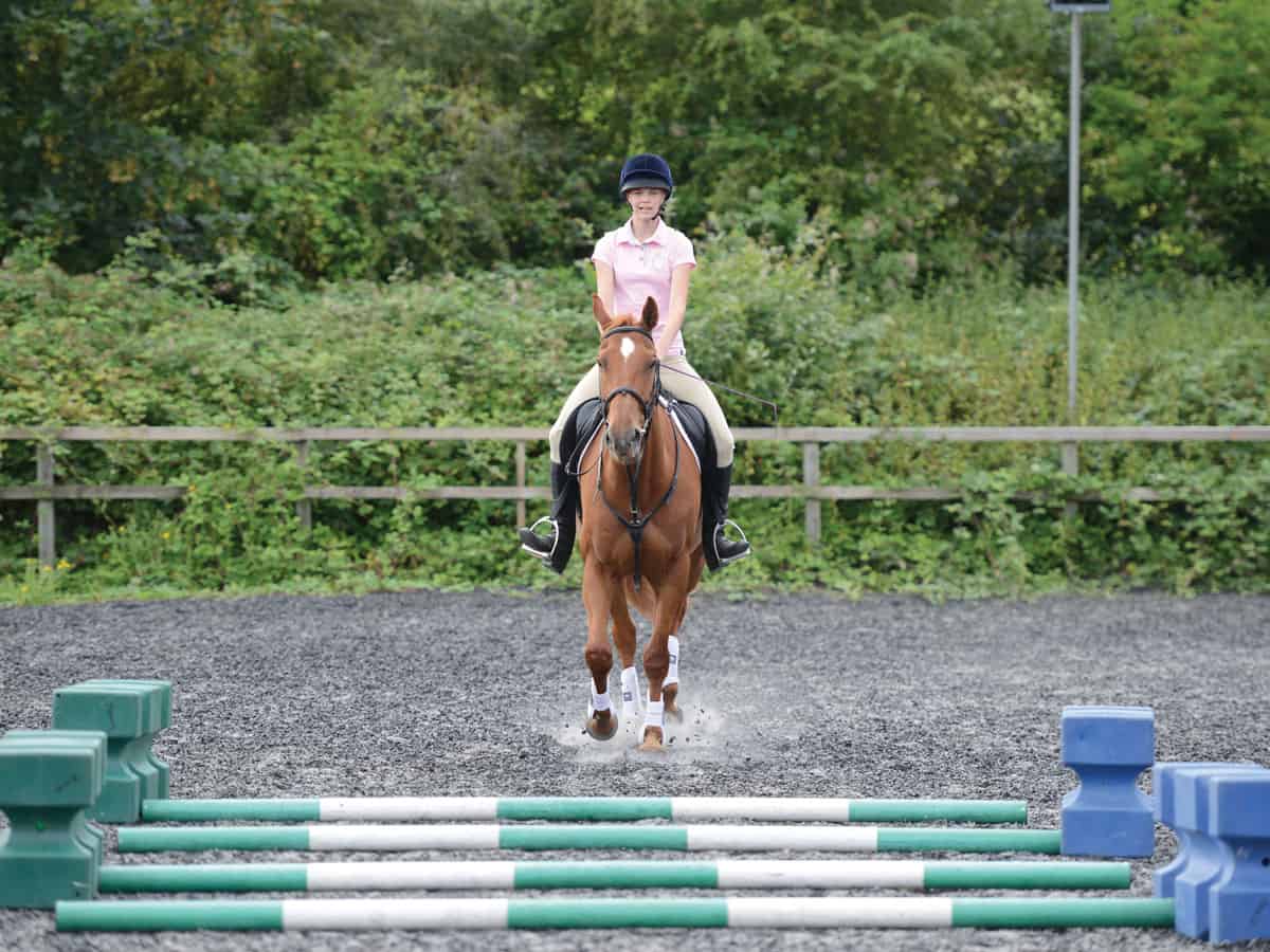 Rider approaching trotting poles