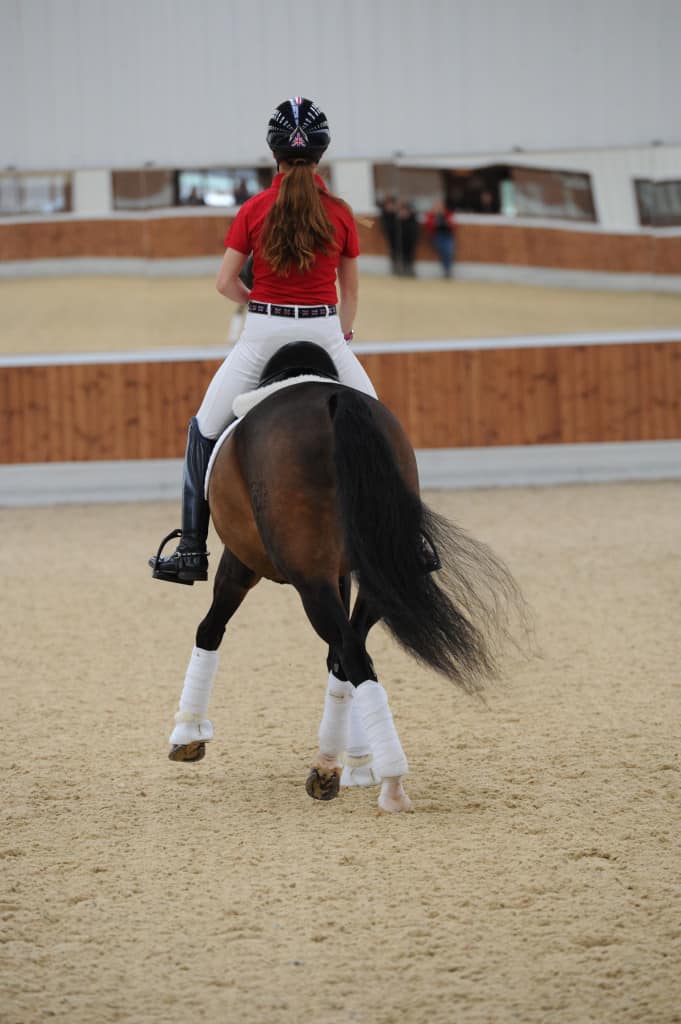 Learning pony sales