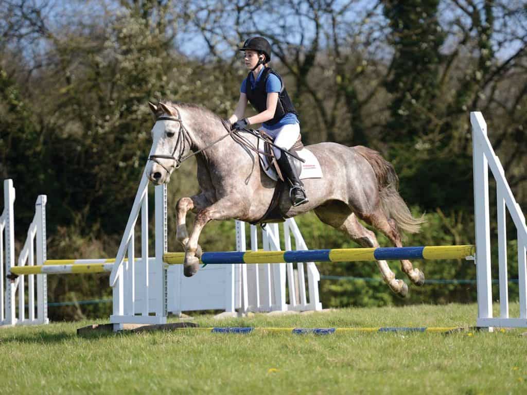 Rider and pony jumping