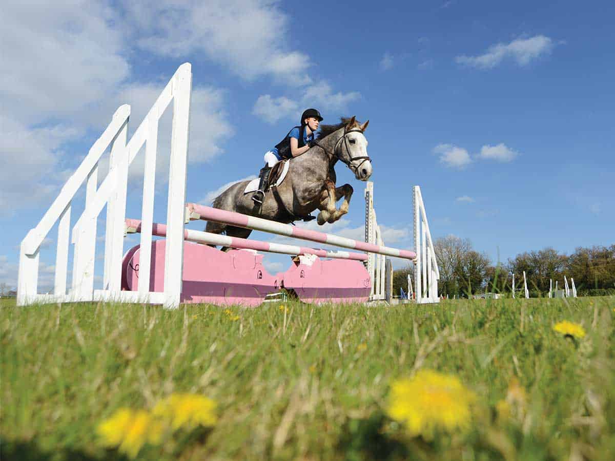 Showjumping fence types and how to jump them Pony Magazine