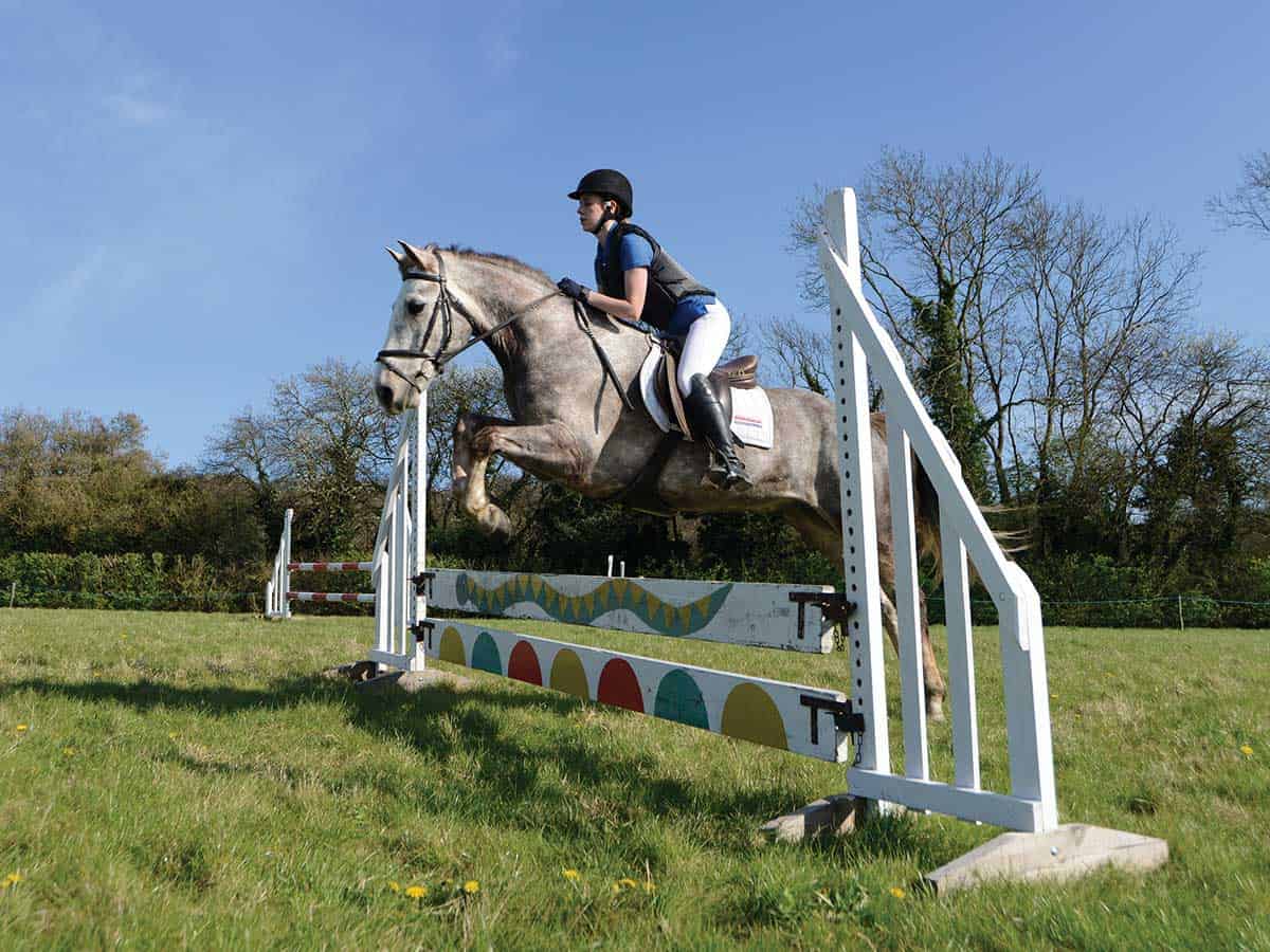 Showjumping an upright fence with planks