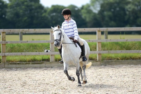 Flatwork-quiz