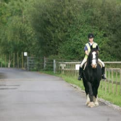 Pony Road Hacking for Fitness