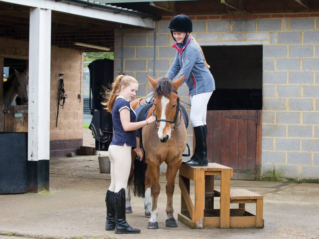 Young pony being mounted