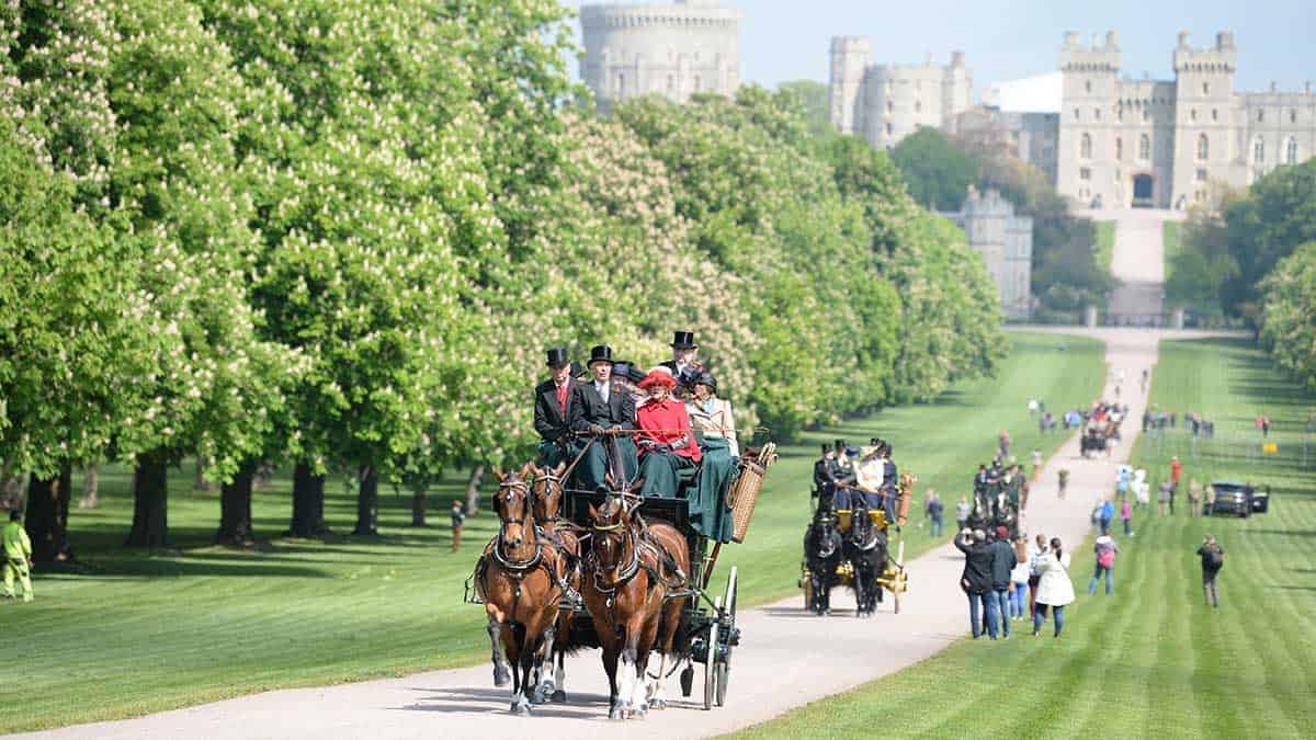 Royal Windsor horse show