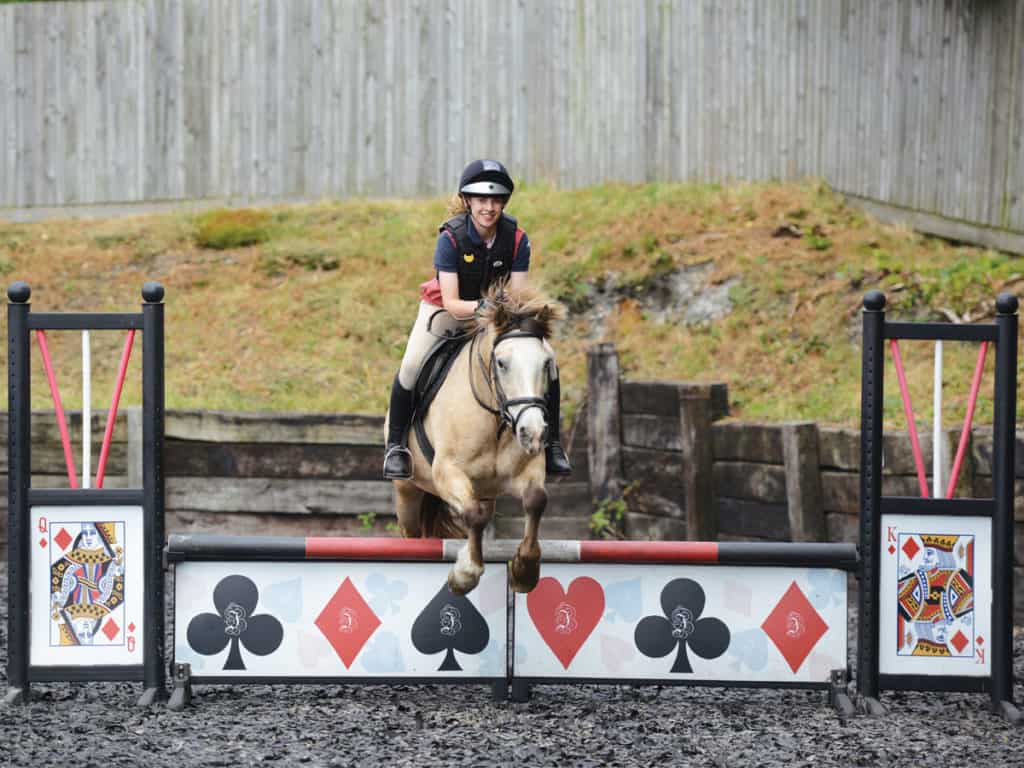 Pony jumping show jumps with filler