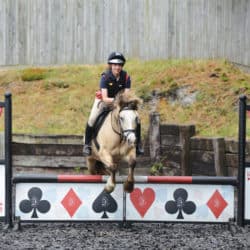 Pony jumping show jumps with filler