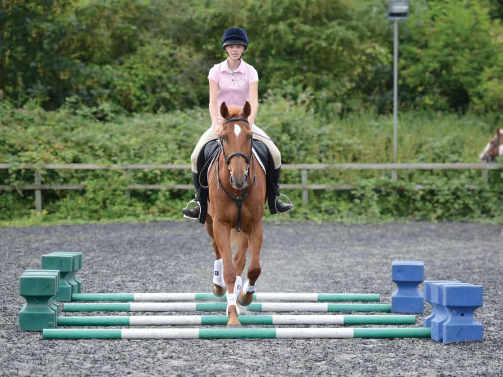 Trotting poles riding exercise