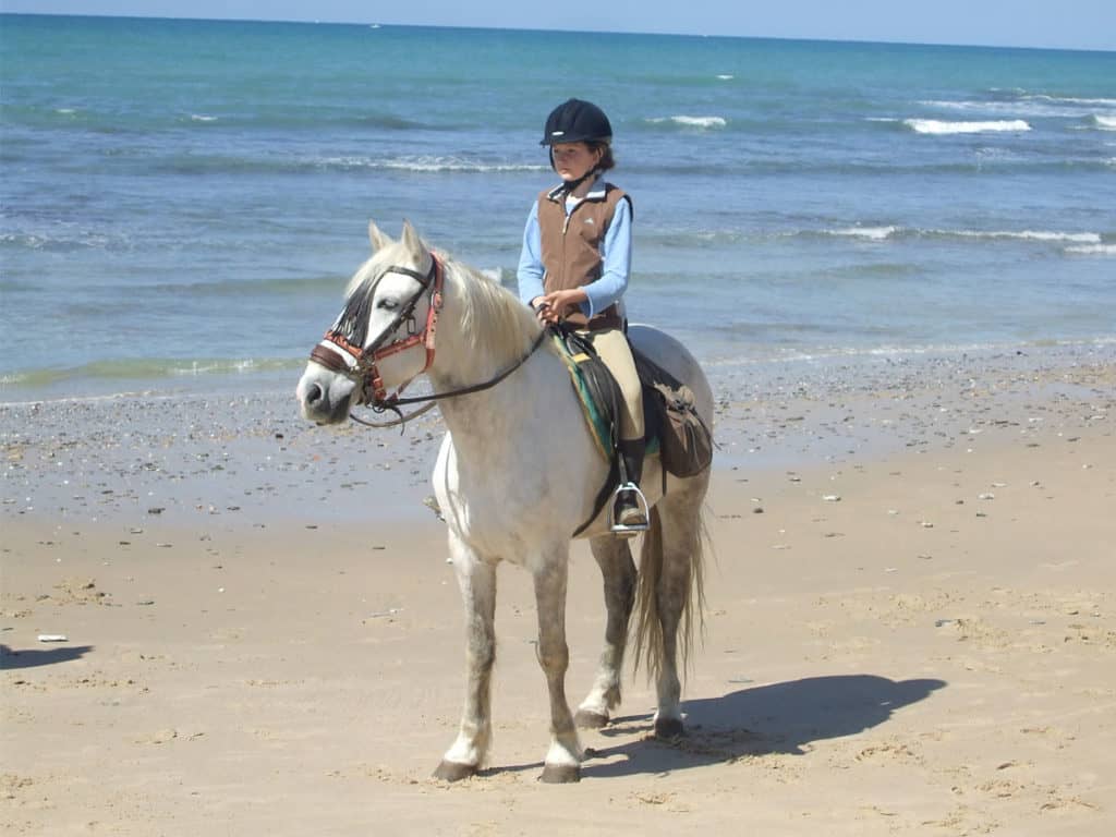 Pony riding holiday