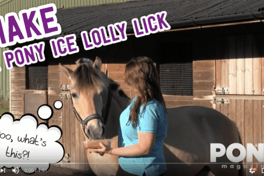 How to make an ice lolly for your pony
