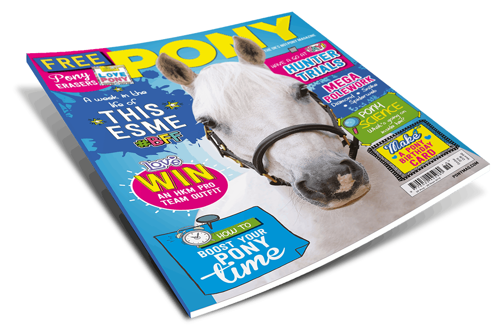October PONY Magazine