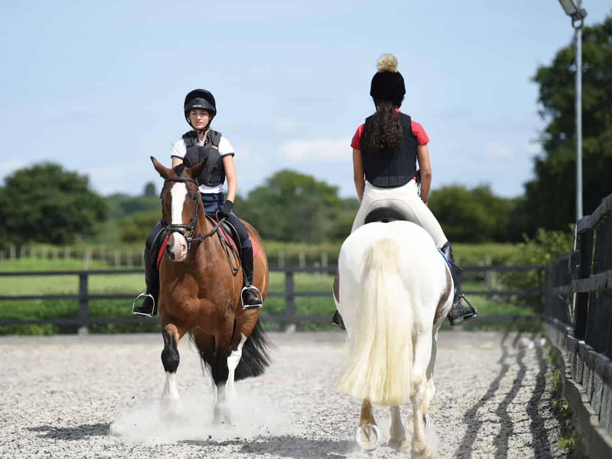 Graceful Rides: Equestrian Arena Etiquette Mastery