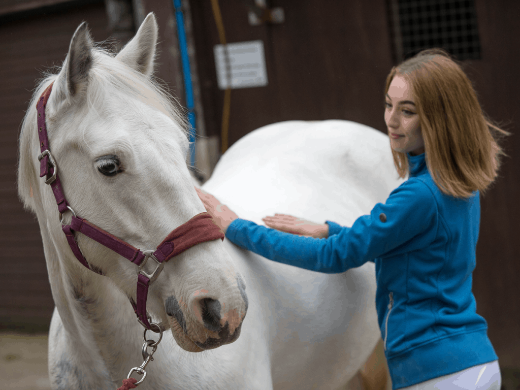 Assessing pony's body condition