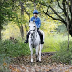 Varying ridden exercise includes hacking