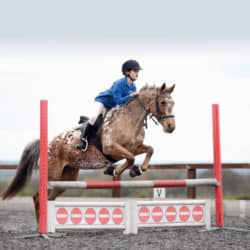 Jumping a strong pony