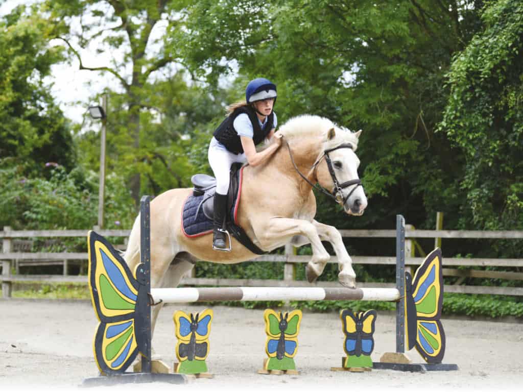 Pony jumping fillers