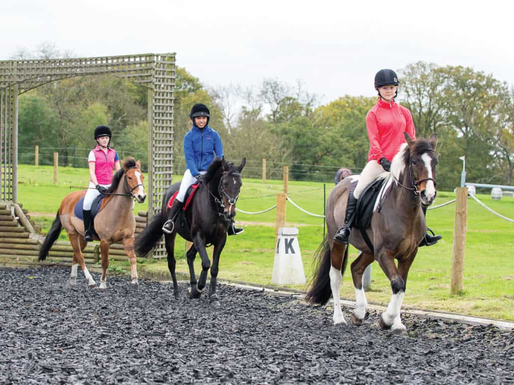 Group riding lesson