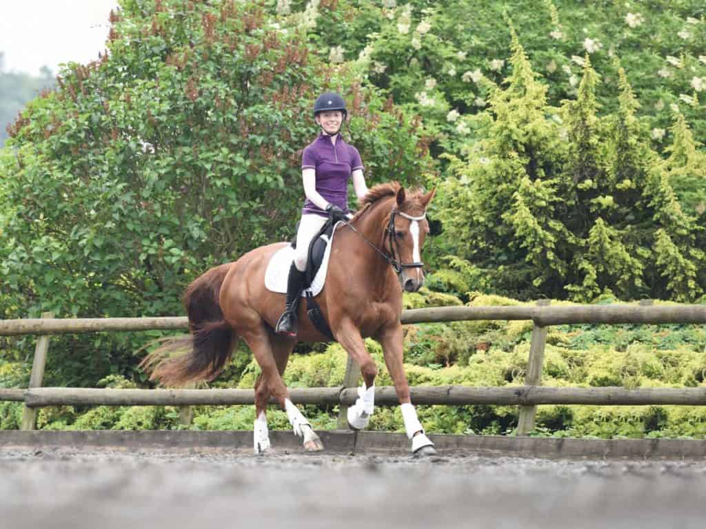 Balancing act flatwork feature