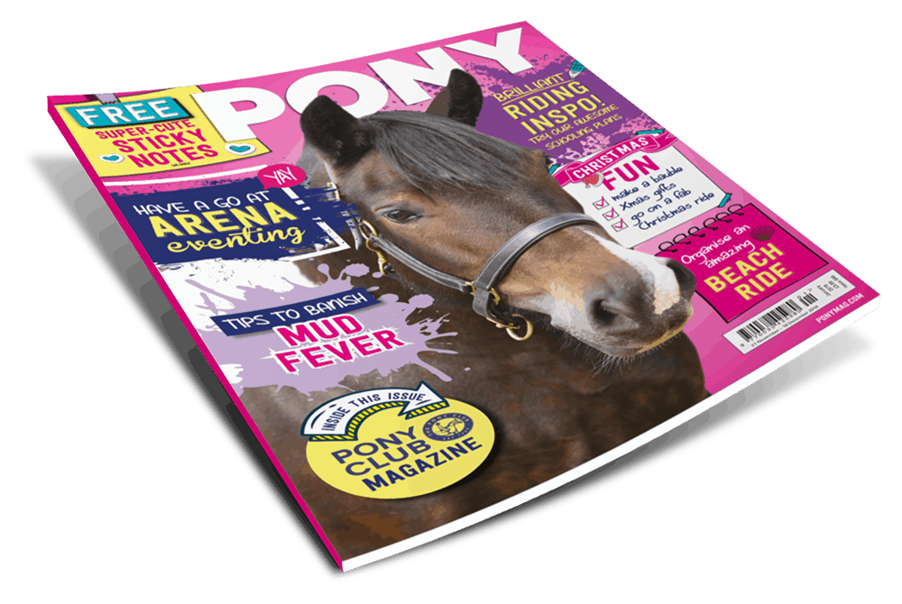 January PONY magazine