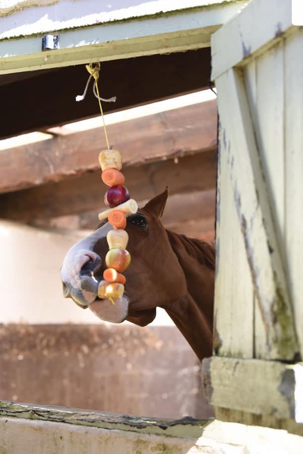 Horse using a hanging vegetable stable toy