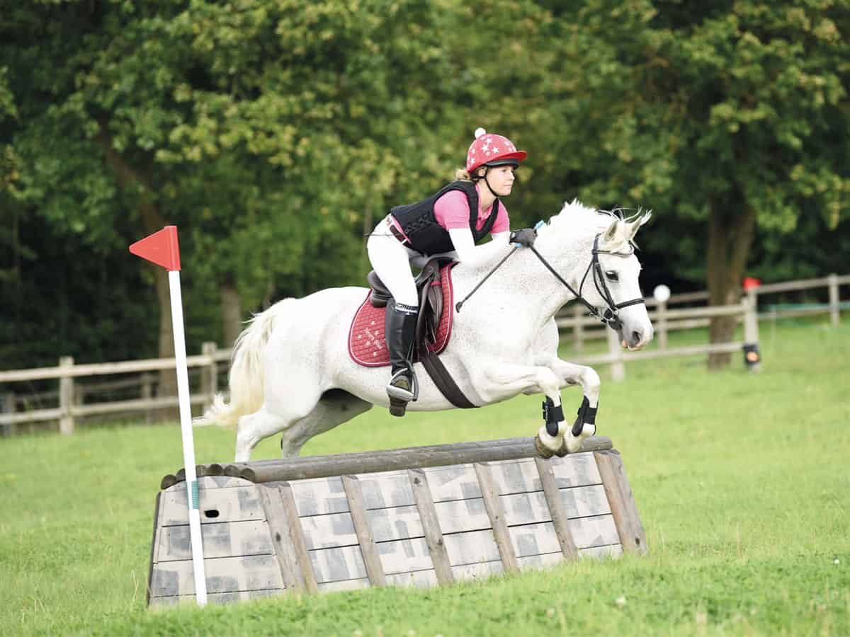 The ultimate crosscountry fence guide! Pony Magazine