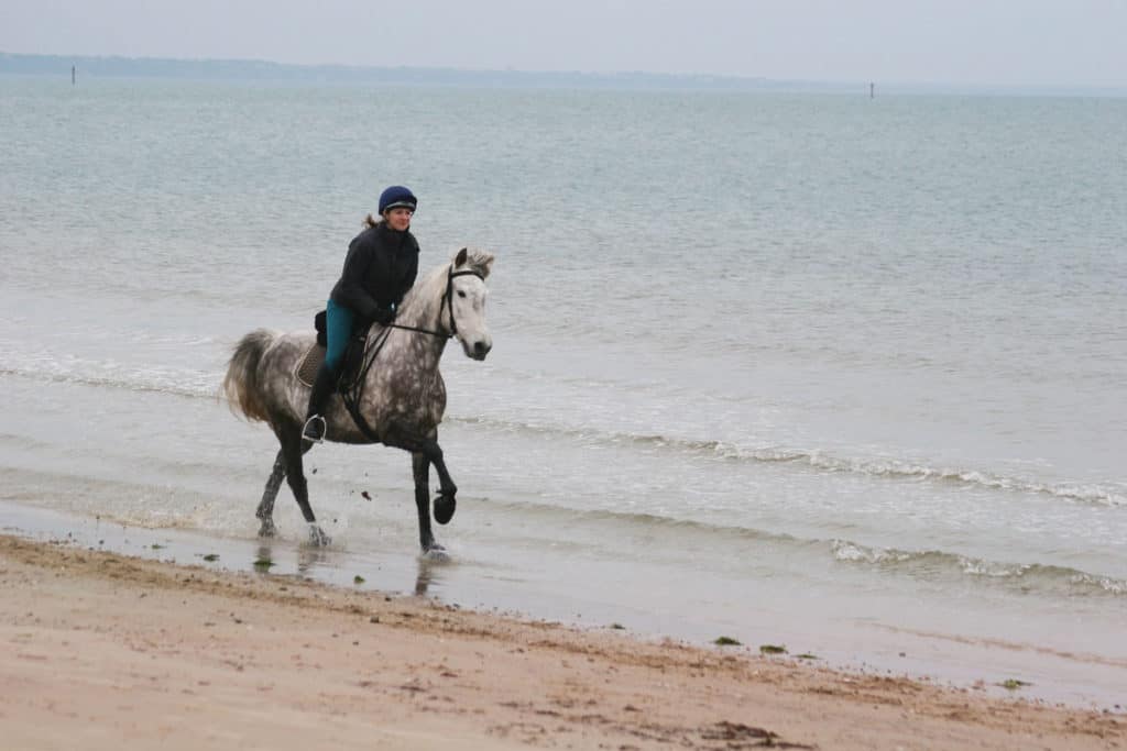 Cantering a pony along a beach