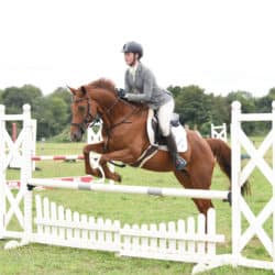 show jumping a course