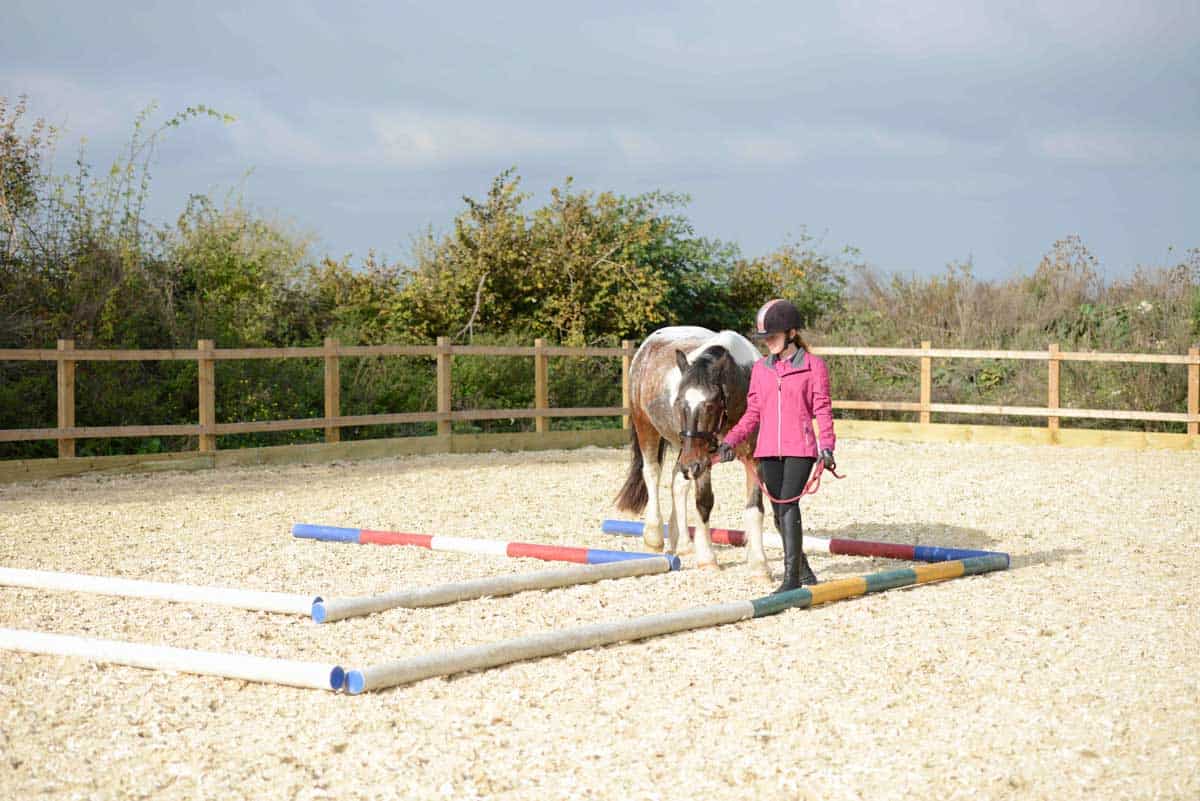 Groundwork exercises with your pony