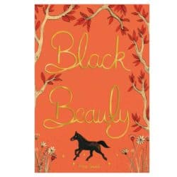 Black Beauty, PONY mag book club read