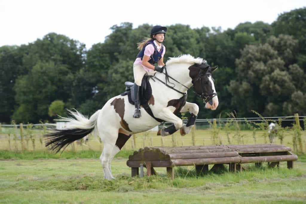 Jumping a cross-country fence in a field