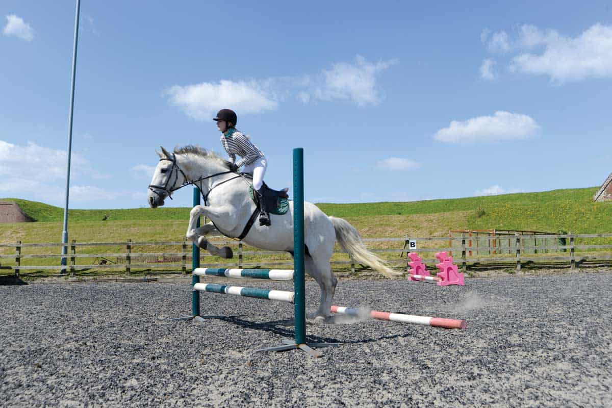 jumping with a placing pole