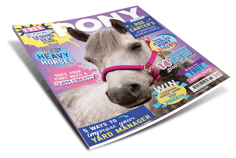 November PONY magazine