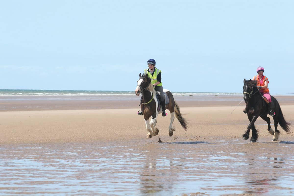 Ponies galloping on beach