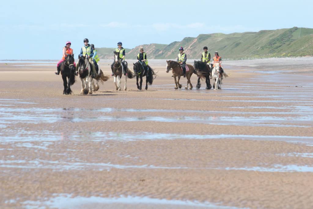 Ponies being ridden on the beach