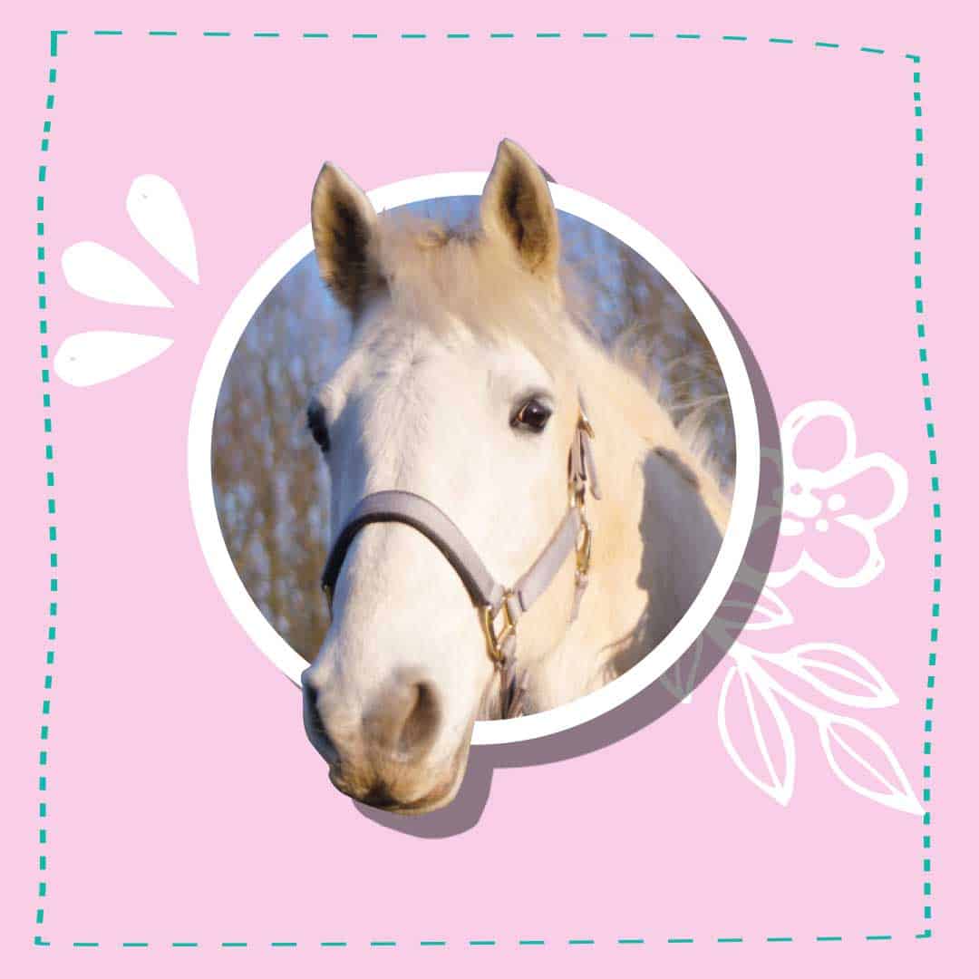 This Esme's pony, Casper