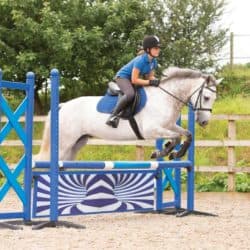 rider and pony showjumping