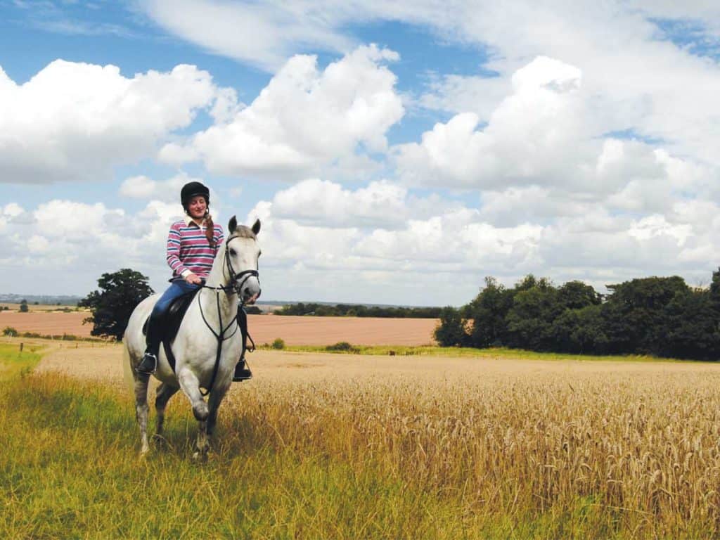 Girl riding a mare