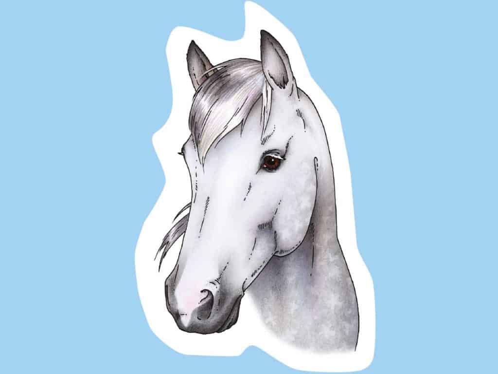 How to Draw a Horse {Step by Step with Printable Guide}