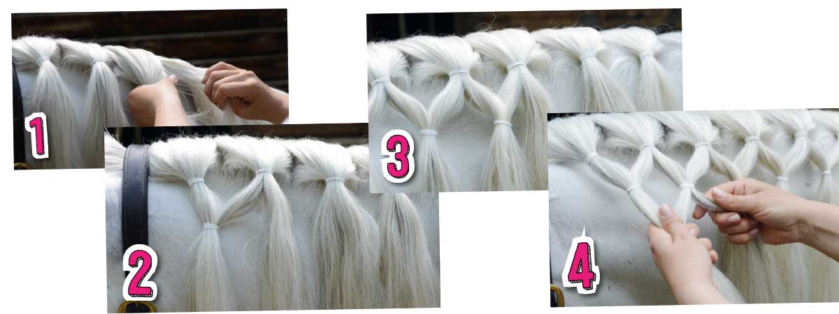 How to do lattice plait in horse's mane