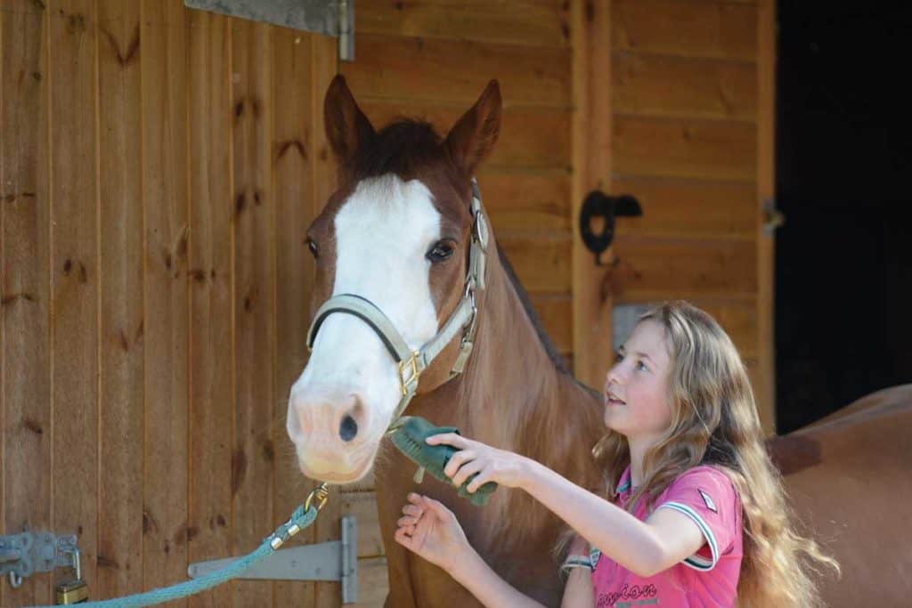 Girl grooming pony