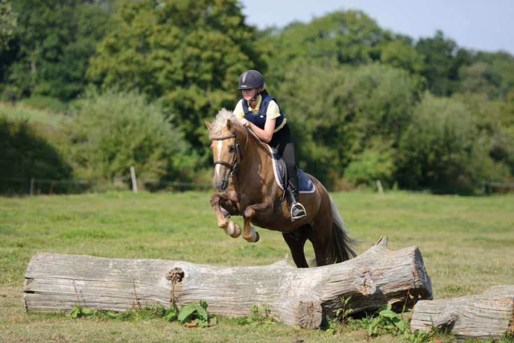 Pony jumping a log in a field