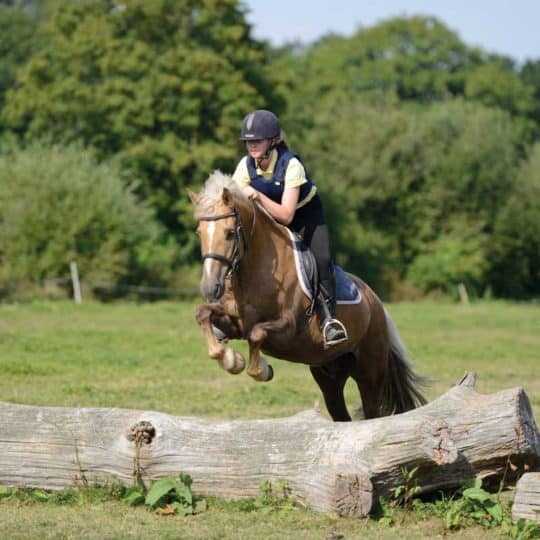 Pony jumping a log in a field