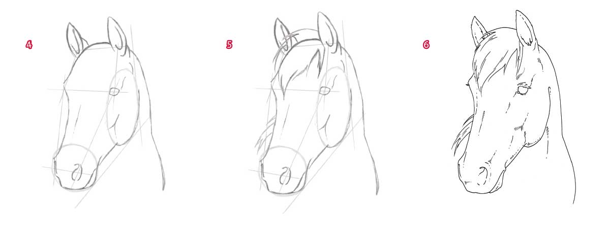 How to draw a horse's head | Drawing horses & ponies | Pony Magazine