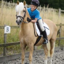 Palomino pony and young rider