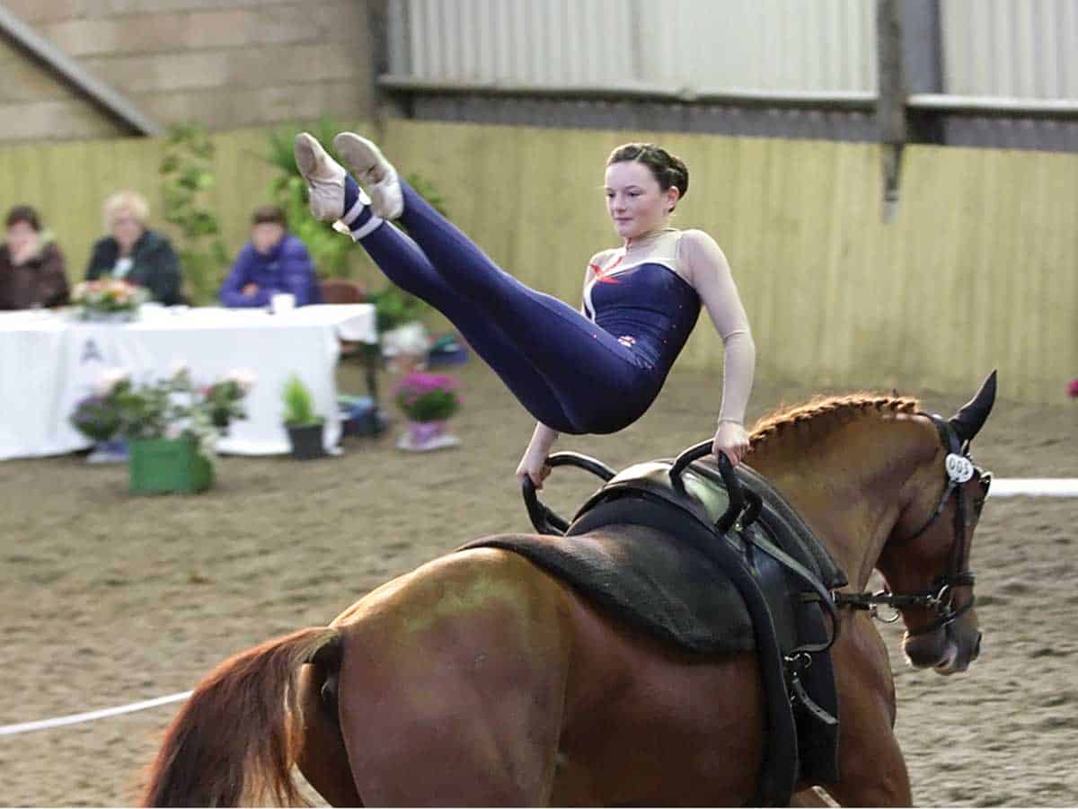 Horse vaulting