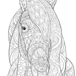 Pony colouring page