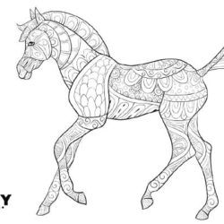 PONY colouring page